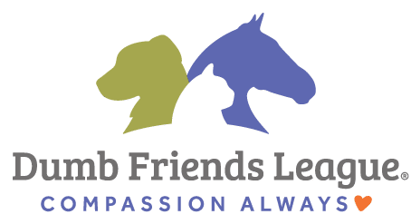 https://www.ddfl.org/