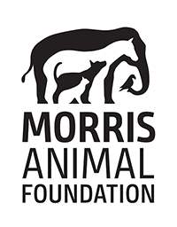 https://www.morrisanimalfoundation.org/